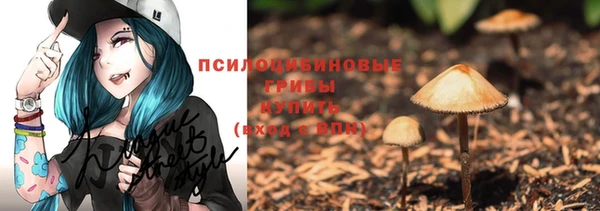 a pvp Алексеевка