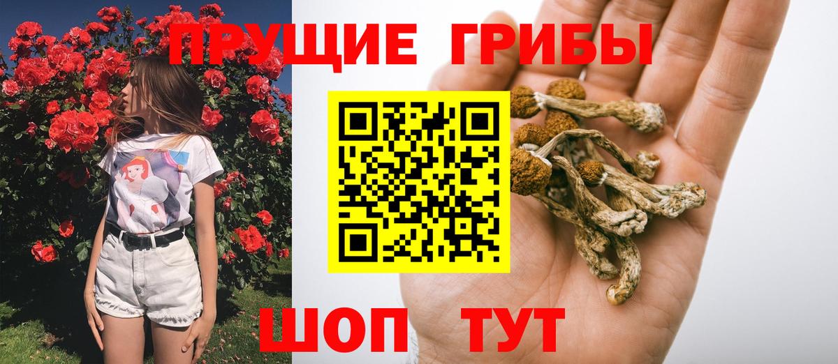Псилоцибиновые грибы GOLDEN TEACHER  цена наркотик  Псилоцибиновые грибы мицелий  Ливны  Вход с VPN 